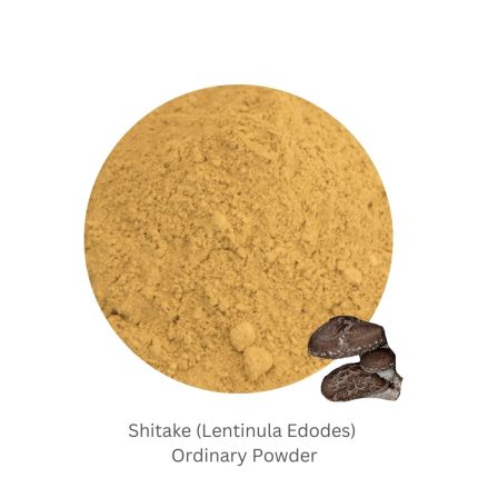 Shitake (Lentinula Edodes) Ordinary Powder