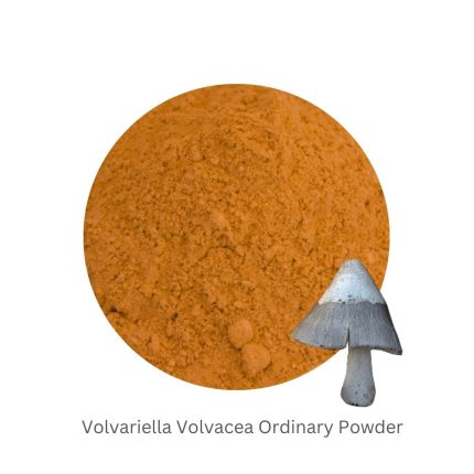 Volvariella Volvacea Ordinary Powder